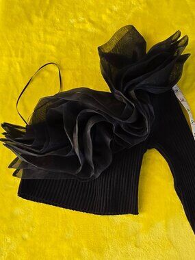 ZARA BLOGGERS FAV ORGANZA RUFFLE MESH BLACK TOP VOLUMINOUS